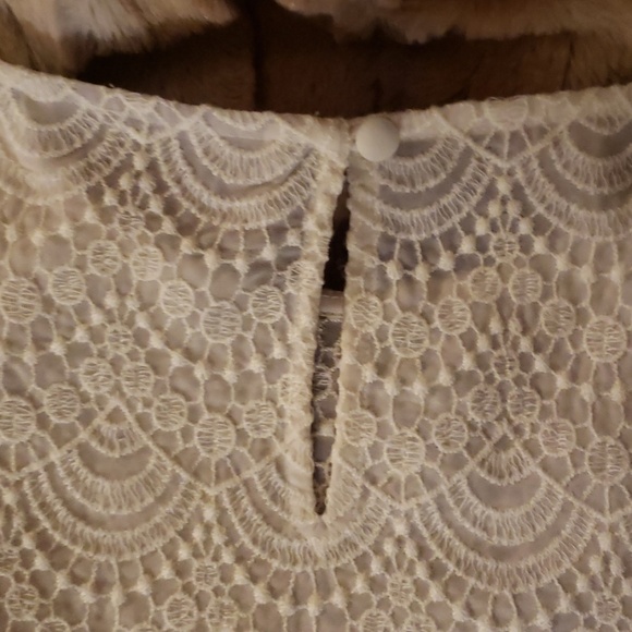 ANN TAYLOR-LOFT cream lace top - Picture 4 of 4